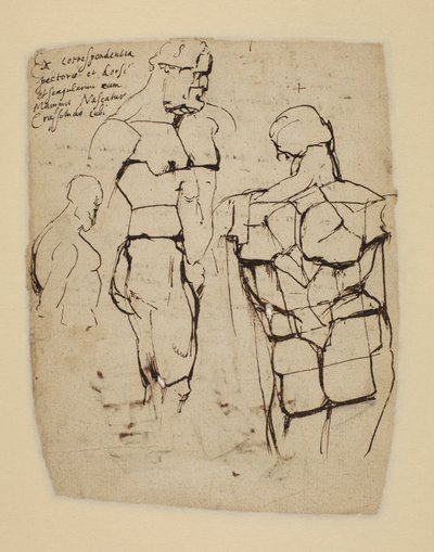 Studie af Farnese Hercules af Peter Paul Rubens