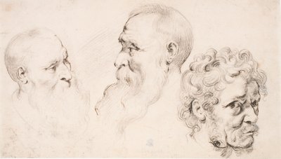  af Peter Paul Rubens