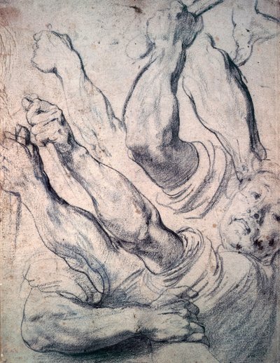 Ukendt billede af Peter Paul Rubens