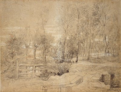 Skovscene, begyndelsen af det 17. århundrede af Peter Paul Rubens