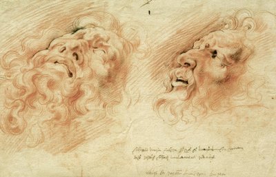 To undersøgelser efter lederen af ​​Laocoon af Peter Paul Rubens