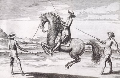 Illustration af en hest en Croupade fra New Treatise for Breeding Horses skrevet af Winters, Stuterey og Reit-Schul, udgivet af Winters, Stuterey og Reit-Schul. 1672 af Peter Paul Troschel