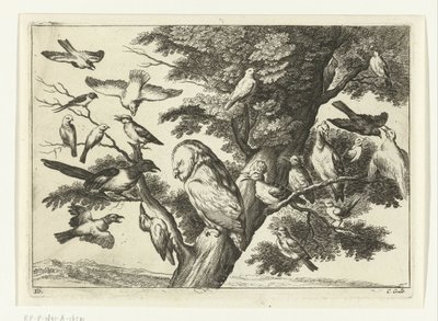 Fugle i et træ Diversarum avium arter (serietitel) Forskellige fugle (serietitel) af Peter van Liesebetten