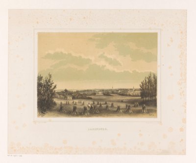 Udsigt over en eng med hvedeskiver ved Larenberg-ejendommen Larenberg (titel på objekt) af Petrus Josephus Lutgers