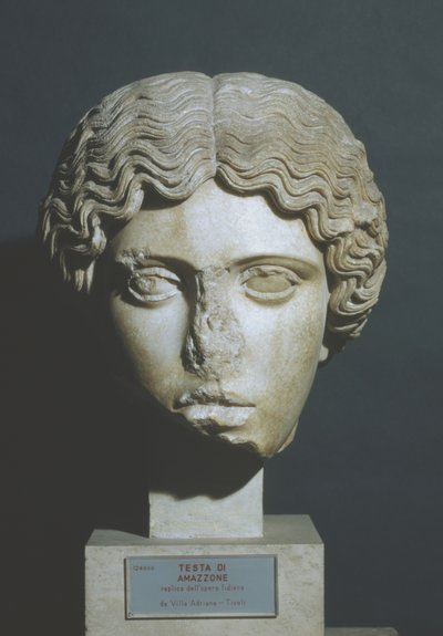 Amazons hoved af Phidias Phidias