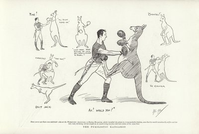 Den pugilistiske kænguru af Phil May