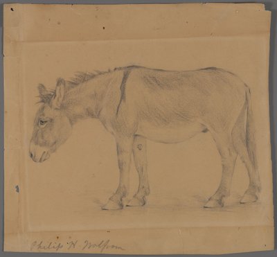 Æsel (grafit på papir) af Philip H. Wolfrom