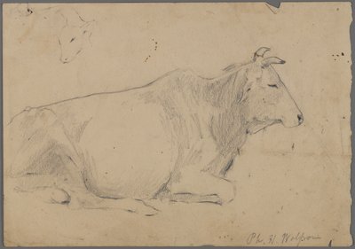 Siddende tyr (grafit på papir) af Philip H. Wolfrom