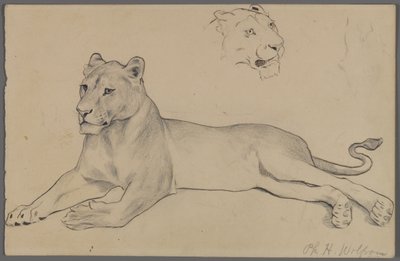 Siddende løvinde (grafit og blæk på papir) af Philip H. Wolfrom