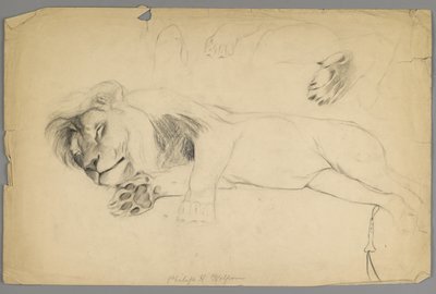 Sovende løve (grafit på papir) af Philip H. Wolfrom