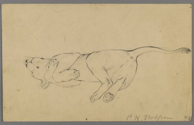 Sovende løvinde (grafit på papir) af Philip H. Wolfrom