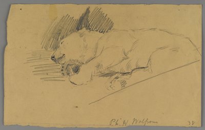 Sovende isbjørn (grafit på papir) af Philip H. Wolfrom