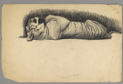 Sovende tiger (kul på papir) af Philip H. Wolfrom