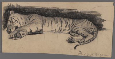 Sovende tiger (kul på papir) af Philip H. Wolfrom