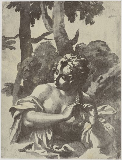 Netscher, en pige, der fletter sit hår af Philip Henry Delamotte