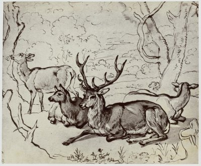 Ridinger, en hjort af Philip Henry Delamotte