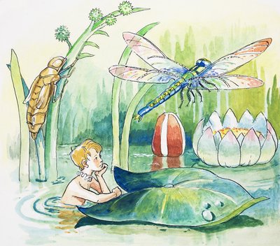 Guldsmed, illustration fra 