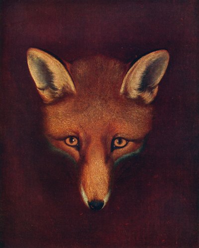 Renard the Fox, c1800, 1922 af Philip Reinagle