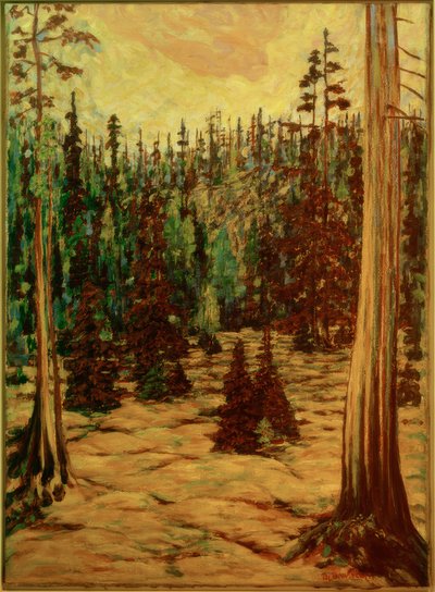 Sommerwald af Philipp Bauknecht