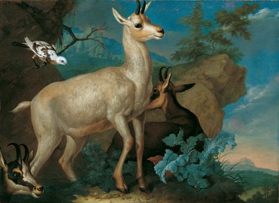 Tre gemse og en solsort af Philipp Ferdinand de Hamilton
