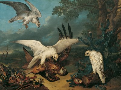 En rød drage besejret af islandske falke af Philipp Ferdinand de Hamilton