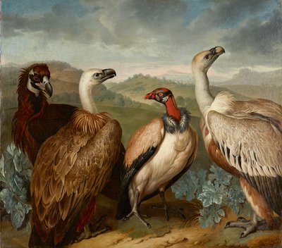 Fire gribbe af forskellige arter af Philipp Ferdinand de Hamilton