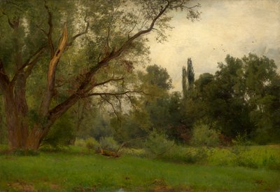 I parken Kleinheubach am Main af Philipp Röth