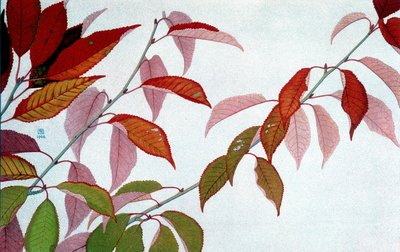 Autumn Leaves, af Philippe Robert, Robert Ried udgaver af Philippe Robert