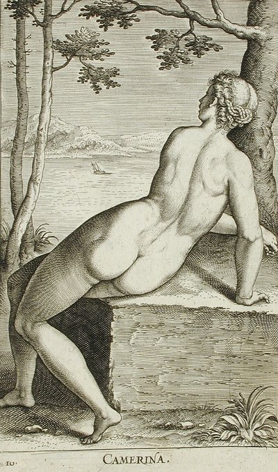 Camerina af Philips Galle