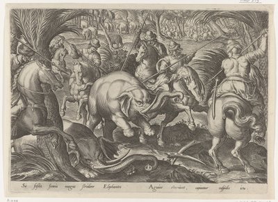 Jacht op olifante Jachttaferelen (serietitel) hvor enhver slags jagt, fuglefangst og fiskeri (serietitel) af Philips Galle