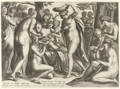 Uddannelse af Adonis The Story of Adonis (serietitel) af Philips Galle