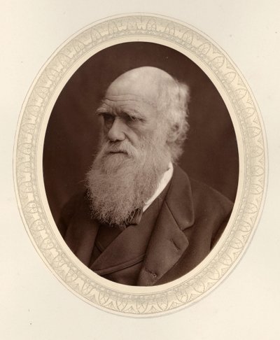 Portræt af Charles Darwin 1809-1882, 1877. af Photo studio Lock and Whitfield