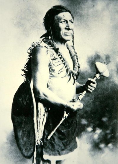 White Swan, Warrior (s/h foto) af Photographer American