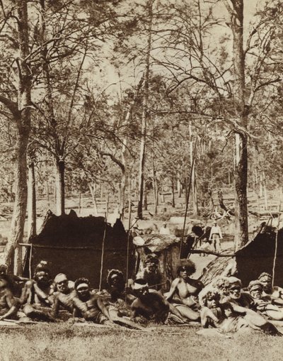 Australske aboriginer i læ bag et læhegn (s/h-billede) af Photographer Australian