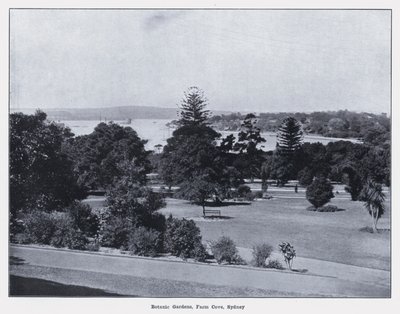 Botanisk have, Farm Cove, Sydney (s/h-billede) af Photographer Australian