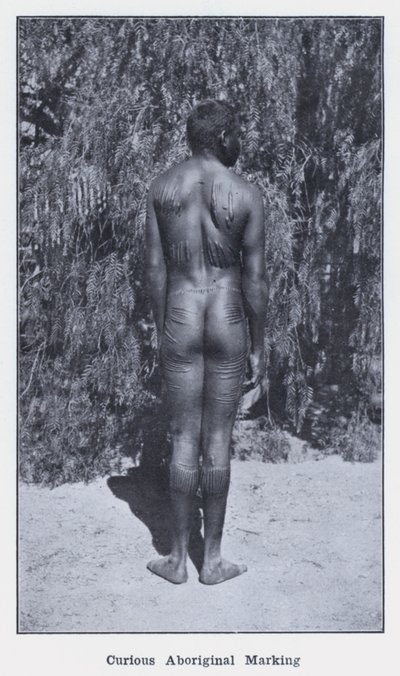 Nysgerrig aboriginal-mærkning (s/h-billede) af Photographer Australian