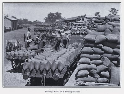 Indlæsning af hvede på en landstation (s/h foto) af Photographer Australian