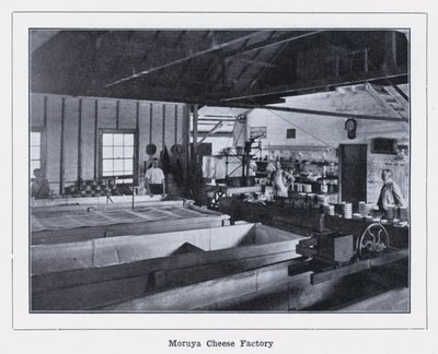 Moruya Cheese Factory (s/h foto) af Photographer Australian