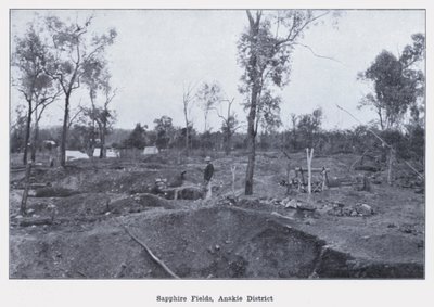 Sapphire Fields, Anakie District (s/h-billede) af Photographer Australian
