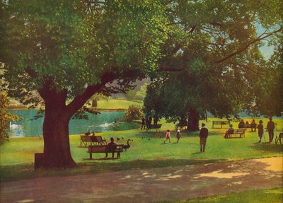 Den botaniske have, Melbourne (farvefoto) af Photographer Australian