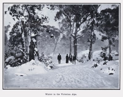 Vinter i de victorianske alper (s/h foto) af Photographer Australian