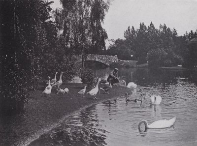 Lake, Beacon Hill Park, Victoria, British Columbia (s/h-billede) af Photographer Canadian