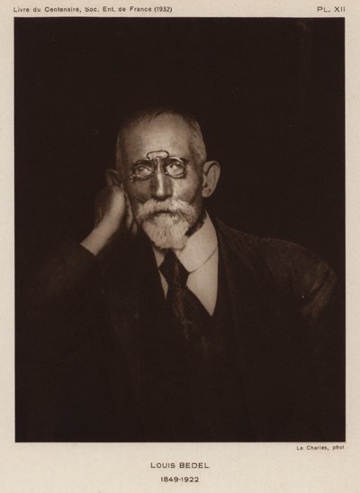 Ernest Marie Louis Bedel, fransk entomolog (s/h foto) af Photographer French