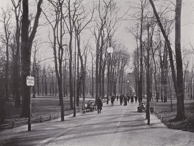 I Tiergarten, Ahornsteig (s/h foto) af Photographer German