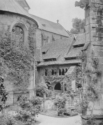 Tausendjahriger Rosenstock (s/h foto) af Photographer German