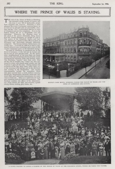 Besøg af prinsen af Wales og hertugen af Cambridge til kurbyen Bad Homburg, Tyskland af Photographer German