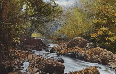 Irland: In The Dargle, County Wicklow (farvet foto) af Photographer Irish