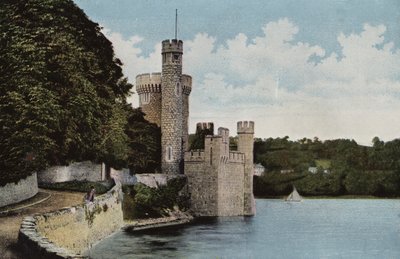 Sydirland: Blackrock Castle, County Cork (farvet foto) af Photographer Irish