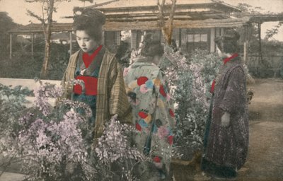 Japanske kvinder med blåregnplanter (farvet foto) af Photographer Japanese