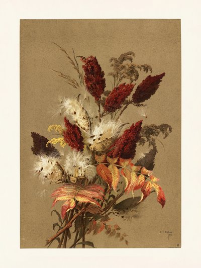 Sumak og mælkeblomst af Ellen Thayer Fisher af Pictufy
